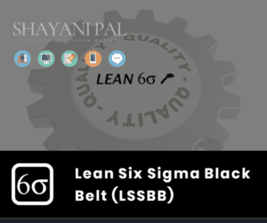 Lean Six Sigma Black Belt (LSSBB™)