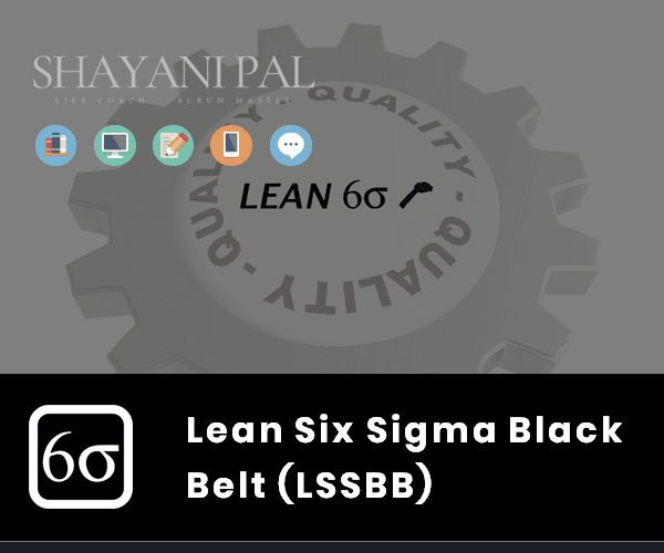 Lean Six Sigma Black Belt (LSSBB™)